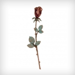O-20137_rose_farbig.jpg